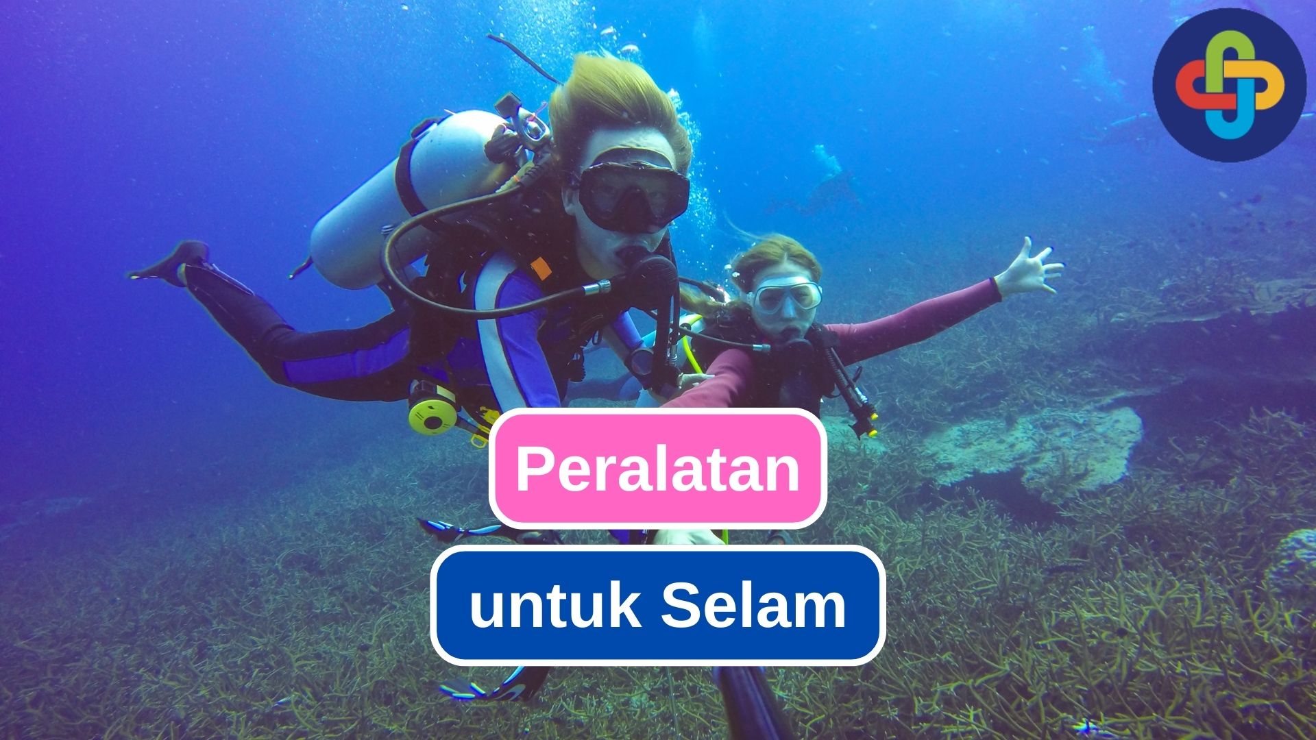 Ketahui Peralatan yang Diperlukan dalam Scuba Diving